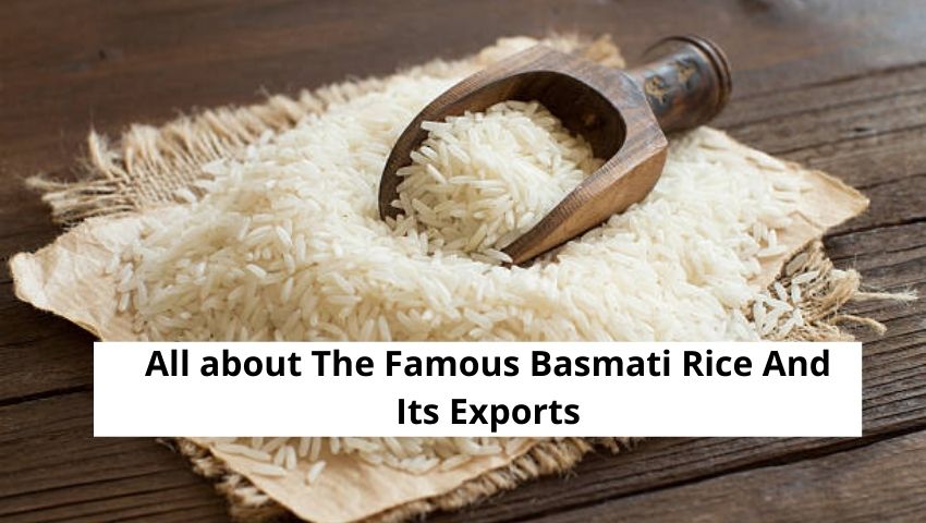 All about The Famous Basmati Rice And Its Exports.jpg